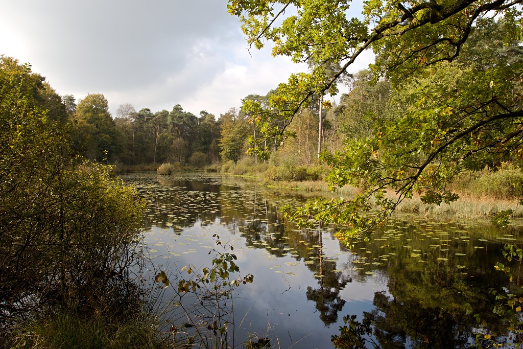 Oisterwijkse Bossen en Vennen Kampina natuurgebied natuur hdr oisterwijk Nationaal park Landschap Het Groene Woud hei heide bossen natuurmonumenten brabant